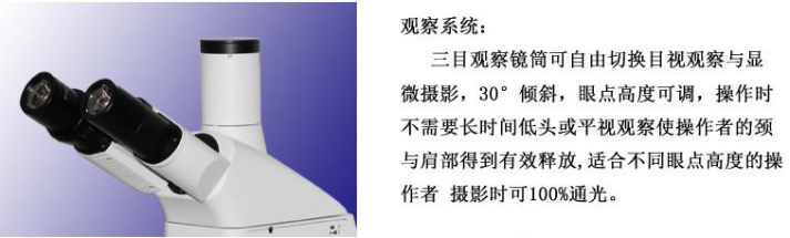 1638427156132544.png image.png