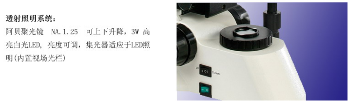 1638440446980278.png image.png