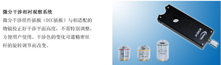 1640238336102818.png image.png