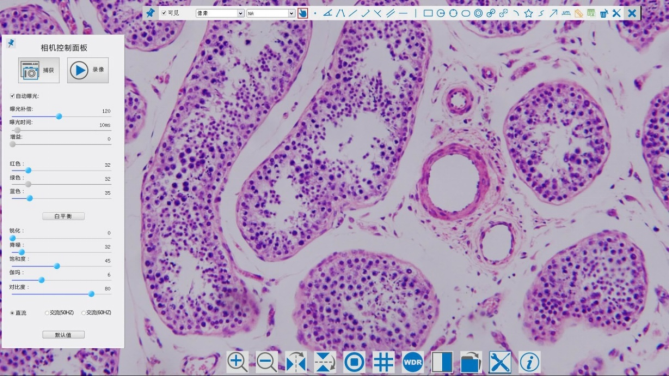 1641966254103074.png 1641966254103074.png