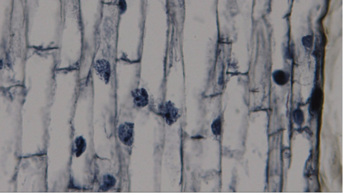 1641966301546220.png 1641966301546220.png